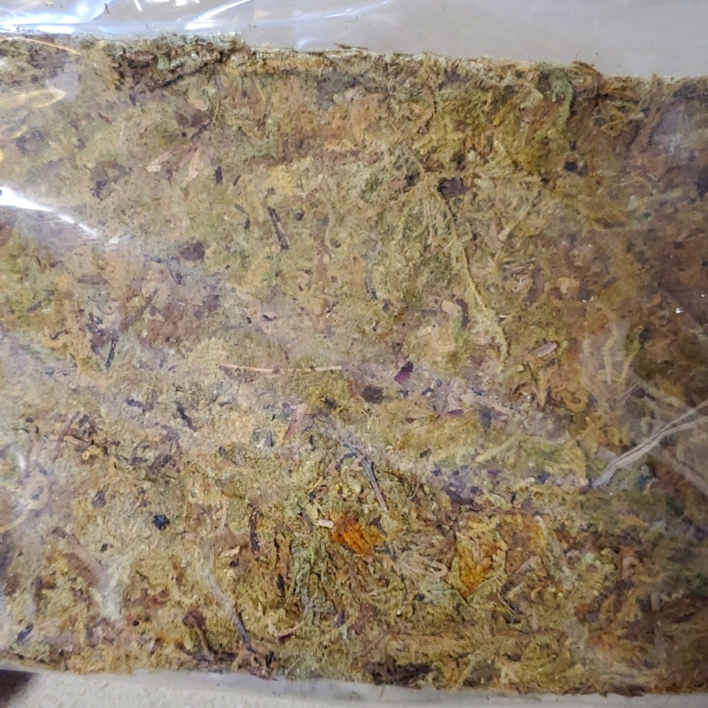 Reptile bundle - Picture 4 of 7